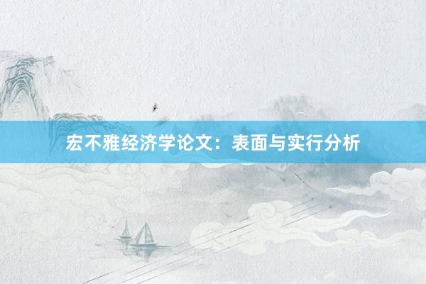 宏不雅经济学论文：表面与实行分析