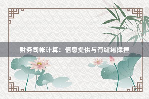 财务司帐计算：信息提供与有缱绻撑捏